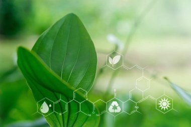 Biyokimya yapısına sahip bitkiler, bulanık doğal arka planda akıllı sanal ekran arayüzü. Sürdürülebilir enerji.