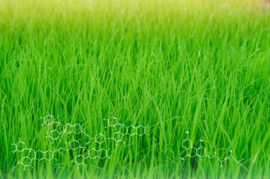 Biyokimya yapısına sahip bitkiler, bulanık doğal arka planda akıllı sanal ekran arayüzü. Sürdürülebilir enerji.