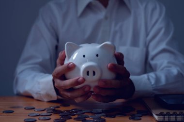 Domuzcuk kumbarası, yatırım, yatırım, tasarruf ve finans muhasebe kavramları.