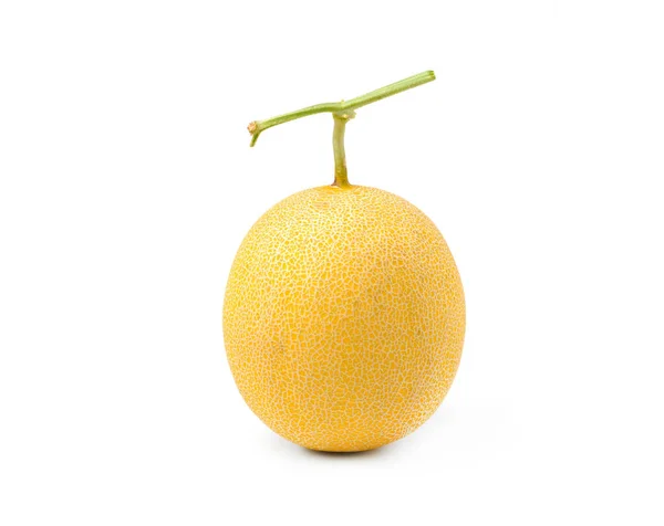 Close Fresh Melon Cantaloupe Short Stalk Organic Fruit Good Health — Stock Photo, Image