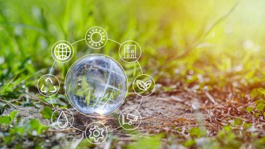 ESG, CO2 ve net sıfırın ikon ortamı ile yeşil ormanda cam küre. Teknoloji Çevre, toplum ve sürdürülebilir çevre kavramı için yönetim.