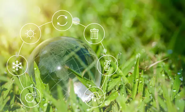 ESG, CO2 ve net sıfırın ikon ortamı ile yeşil ormanda cam küre. Teknoloji Çevre, toplum ve sürdürülebilir çevre kavramı için yönetim.