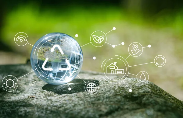 ESG, CO2 ve net sıfırın ikon ortamı ile yeşil ormanda cam küre. Teknoloji Çevre, toplum ve sürdürülebilir çevre kavramı için yönetim.