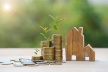 İş Finans ve Para Konsepti, gelecek için para biriktir. Sikke üzerinde büyüyen ağaçlar. Yeşil bokeh arkaplanlı sikkeleri üst üste istifleyin..