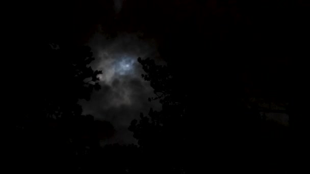 Úplněk Zatažené Noční Obloze Vysoce Kvalitní Záběry — Stock video