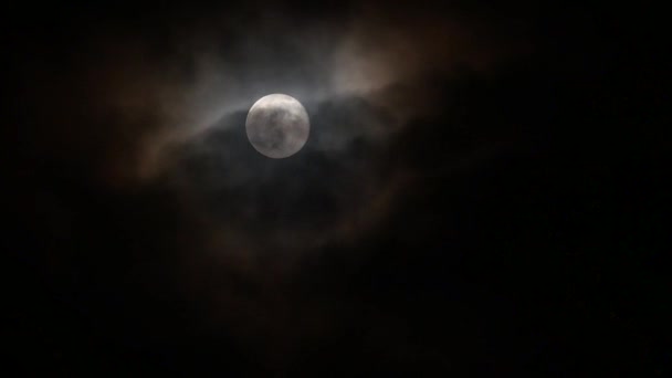 Full Moon Cloudy Night Sky High Quality Footage — Video Stock