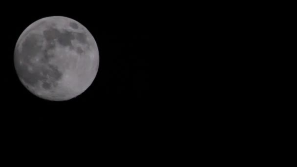 Full Moon Wandering Dark Night Sky High Quality Footage — Stock Video