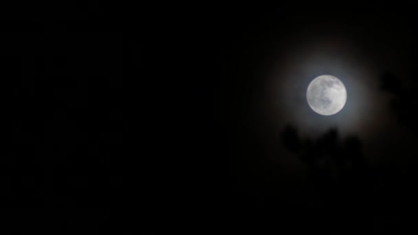 Bulutlu Gece Gökyüzünde Dolunay Yüksek Kalite Görüntü — Stok video