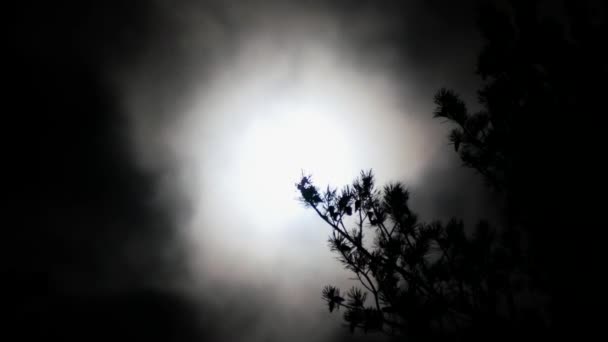 Полная Луна Облачном Ночном Небе Высококачественные Кадры — стоковое видео