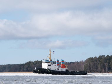 Iso-Pukki, güneşli bir kış gününde Ruissalo açıklarında denizin ortasında buzu çekiştiriyor.