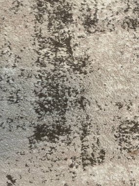 Arka plan olarak halı dokusu. Kısa öbek bej kapılı paspas ya da koşucu, kahverengi-gri benekli detaylı yüzey, benekler ya da lekeler, soyut desenler. Kapalı mekanlar için geleneksel yumuşak halı, yakın çekim..