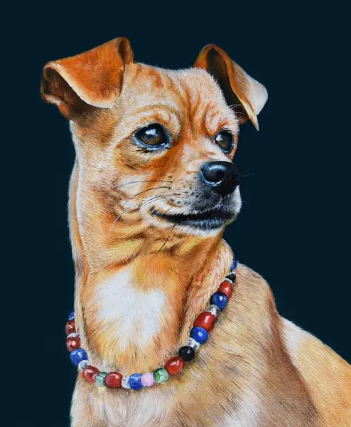 A dog, oil painting. Hand drawing, a portrait of cute young tan color puppy of Jug mix breed, in a collar made of bright beads, isolated on dark background. Pets animals life concept.