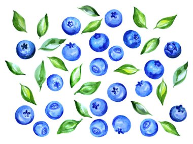 Beyaz arka planda yaban mersini ve yapraklar. Sağlıklı pazar, web siteleri, tekstil, doku, kozmetik tasarım, paket için el çizimi, organik sağlıklı gıda malzemeleri.