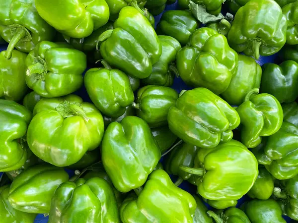Pepper, bell Green, fresh green peppers for sale at market. Background texture of fresh green peppers closeup. Pile of peppers as background, texture. Healthy eating. Images of vegetable products