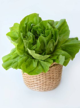 Sepetteki beyaz arka planda taze romaine marulu. Sağlıklı beslenme. Vejetaryen yemeği. Doğal eko-çiftlik ürünü. Yunan bahçesinde yetişen marul yaprakları.