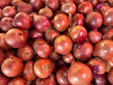 Soyulmamış Kırmızı Soğan Yığını. Birbiri üstüne yığılmış bir sürü çiğ soğan. Yukarıdan bak. Organik ve taze soğanlar yeni toplandı ve satılmaya hazır. Sağlıklı beslenme. Sebze ürünlerinin resimleri