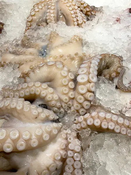 Freshly caught octopus in a box of ice at a farmers market in Greece. Seafood. Healthy sea food. Sea delicacies. Fresh seafood. Octopus tentacles on ice.