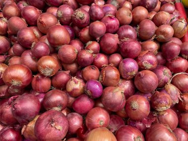 Soyulmamış Kırmızı Soğan Yığını. Birbiri ardına yığılmış bir sürü çiğ soğan. Yukarıdan manzara. Organik ve taze soğanlar yeni toplandı ve satışa hazır. Sağlıklı beslenme. Sebze ürünlerinin görüntüleri.