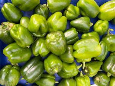 Biber, çan yeşili, markette satılık taze yeşil biber. Taze yeşil biberlerin arka plan dokusunu yakından çek. Arka plan olarak biber yığını, doku. Sağlıklı beslenme. Sebze ürünlerinin resimleri