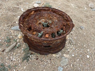 Doğada denize yakın terk edilmiş paslı bir arabanın kenarına yakın çekim. Paslı nesne. Kirli doğa.