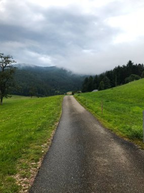 Bilinmeyen güzel doğaya giden yol. Yeşil çayır, mavi gökyüzü.