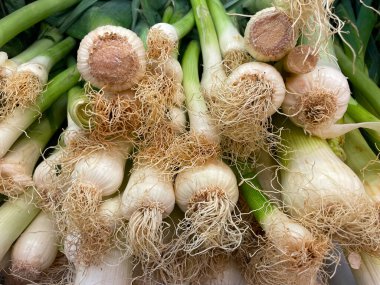 Yunanistan 'da perakende pazarı tezgahında taze taze taze soğan demetleri, yakından bakıldığında aşağıdan görülüyor. Sağlıklı, organik yiyecekler..