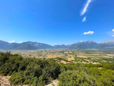 Bereketli zeytinlikler ve tarlalar. Olgun zeytin ağaçları olan Akdeniz zeytinliği, açık mavi gökyüzünün altındaki tarlalar. Uzak bakış açısı tarımın kırsal cazibesini arttırıyor..