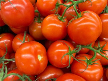 Pazardaki kırmızı parlak domatesler sağlıklı beslenmeyi sembolize eder. Organik ve taze domatesler, yeni toplanmış ve satmaya ya da yemeye hazır. Sebze ürünlerinin resimleri.