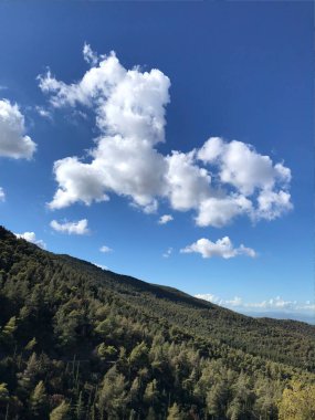 Yunan yeşil ormanı ve kabarık bulutlu mavi gökyüzü. Güzel manzara. Yunanistan 'ın güzel doğası.
