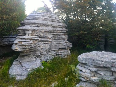 Pürüzsüz, kıvrımlı ve sert kaya oluşumları, taştan ormandaki kalın yeşil çalılar ve ağaçlarla çevrili vikolar Yunanistan 'da, taş bahçesinde tıka basa yiyorlar. Taş Ormanı doğal kaya oluşumu Monodendri Zagori Yunanistan
