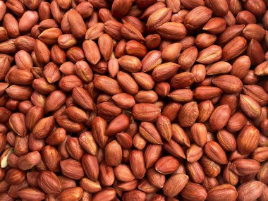 Fındıklı yakın plan. Kahvaltı, sağlıklı yiyecekler. Arka plan olarak kullanılabilir. Fındık arkaplanı