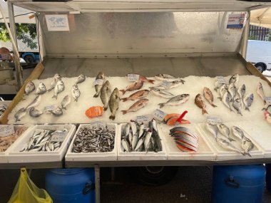 Buzun üzerinde çok çeşitli taze balıklar sergilenen bir balık tezgahı. Farklı türler, filetolar ve deniz ürünleri türleri düzenli bir şekilde düzenlenmiştir. Canlı bir açık hava ortamında satılmaya hazırdırlar.