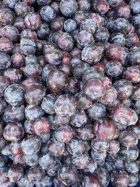 Taze erikler bir araya toplanmış, koyu mor ve kırmızı tonlarını doğal çiçeklerle sergiliyorlar. Organik yaz meyve arka planı, sağlıklı gıda, tarım, pazar ve beslenme kavramları için ideal.