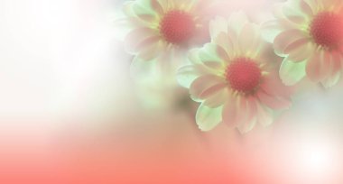 Güzel Doğa Arkaplanı. Çiçek Tasarımı. Soyut Makro Fotoğrafı. Daisy Çiçeği. Pastel Çiçekleri. Sarı Arkaplan. Yaratıcı Sanatsal Duvar Kağıdı. Düğün Davetiyesi..