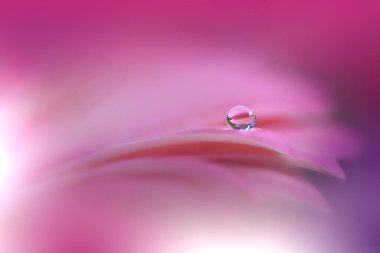Beautiful Macro Photo.Dream Flowers.Border Art Design.Magic Light.Close up Photography.Conceptual Abstract Image.Violet and Pink Background.Fantasy Floral Art.Creative Wallpaper.Beautiful Nature Background.Amazing Spring Flower.Water Drop.Copy Space.