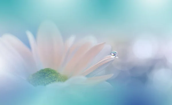 Beautiful Macro Photo.Colorful Flowers.Art Design.Magic Light.Close up Photography.Conceptual Abstract Image.Green and Blue Background.Fantasy Floral Art.Creative Wallpaper.Beautiful Nature Background.Amazing Spring Flower.Water Drop.Copy Space.