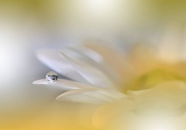 Beautiful Macro Photo.Dream Flowers.Art Design.Magic Light.Close up Photography.Conceptual Abstract Image.Yellow Background.Fantasy Floral Art.Creative Wallpaper.Beautiful Nature Background.Amazing Spring Flower.Water Drop.Copy Space.Green Color.