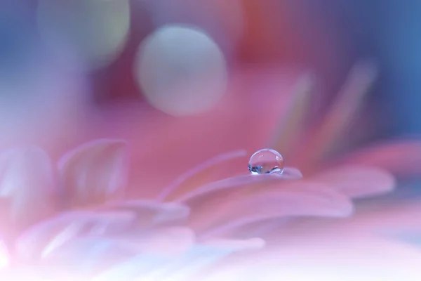 Beautiful Macro Photo.Dream Flowers.Art Design.Magic Light.Close up Photography.Conceptual Abstract Image.Pink Background.Fantasy Floral Art.Creative Wallpaper.Beautiful Nature Background.Amazing Spring Flower.Water Drop.Copy Space.Violet Color.