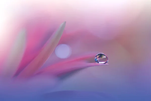 美しいマクロ写真 カラフルな花 アートデザイン 魔法の光写真を閉じます 概念的な抽象画像 ピンクとバイオレット背景幻想的な花アート 創造的な壁紙 — ストック写真