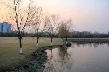 Çin 'in Hangzhou şehrinde gün batımında çıplak ağaçlarla güzel bir göl manzarası. Ağaçların ve bitkilerin su yansıması. Şaşırtıcı doğa duvar kağıdı arkaplanı.