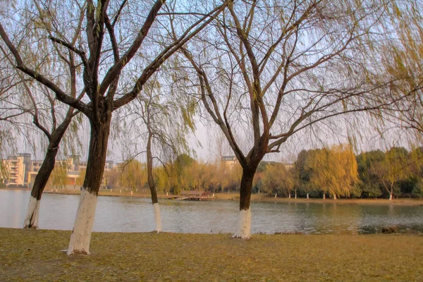 Bela Cena Lago Com Árvores Nuas Pôr Sol Cidade Hangzhou — Fotografia de Stock