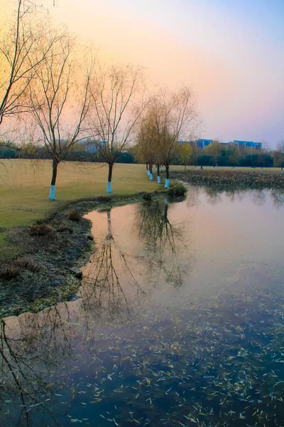 Bela Cena Lago Com Árvores Nuas Pôr Sol Cidade Hangzhou — Fotografia de Stock
