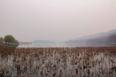 Hangzhou Şehri Batı Gölü Sonbahar yaprakları sararır. Arka plandaki dağlar sisli. İyi seyahat görünümü.