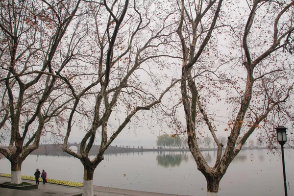 Mensen Lopen Langs Kust West Lake Met Enorme Bomen Rustige — Stockfoto