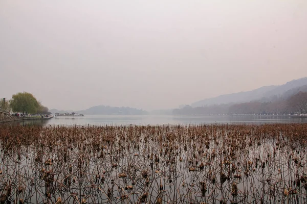 杭州市西湖秋叶发黄 后山有雾 旅途愉快 — 图库照片