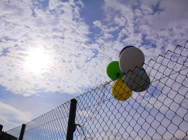 Großaufnahme Von Bunten Luftballons Die Zaun Hängen Und Hintergrund Die — Stockfoto