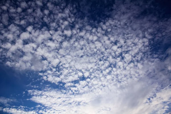 Cirrocumulus Clouds Blue Sky Beautiful Cloud Pattern Blue Sky Background — Stock Photo, Image