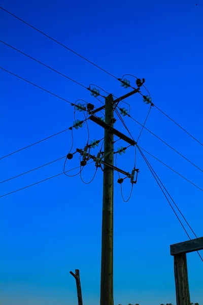 Bottom view of utility poles with blue sky. Blue sky and white clouds. Illustration on the theme of electricity supply. Rural electrification.