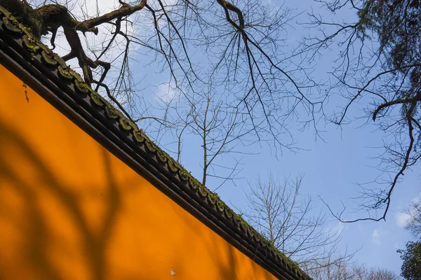 Низкий Угол Обзора Оранжевой Стены Голых Ветвей Дерева Голубого Неба — стоковое фото