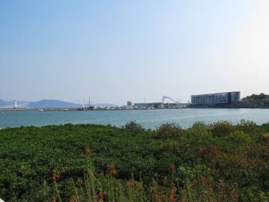 Mavi sakin deniz manzarası. Önünde yeşil çimenler var. Mavi gökyüzünün altında dağlar var. Shenzhen, Çin 'de seyahat sahnesi.